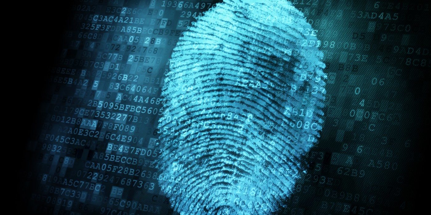 Software Composition in Highlight: How Open Source component detection works